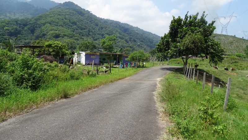 Resiliencia: superar la&nbsp;adversidad