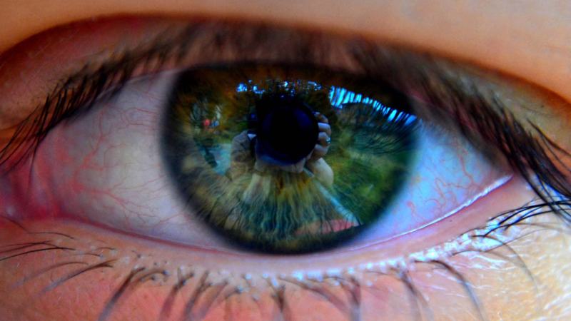 Comunicarse: cuestión de&nbsp;enfoque