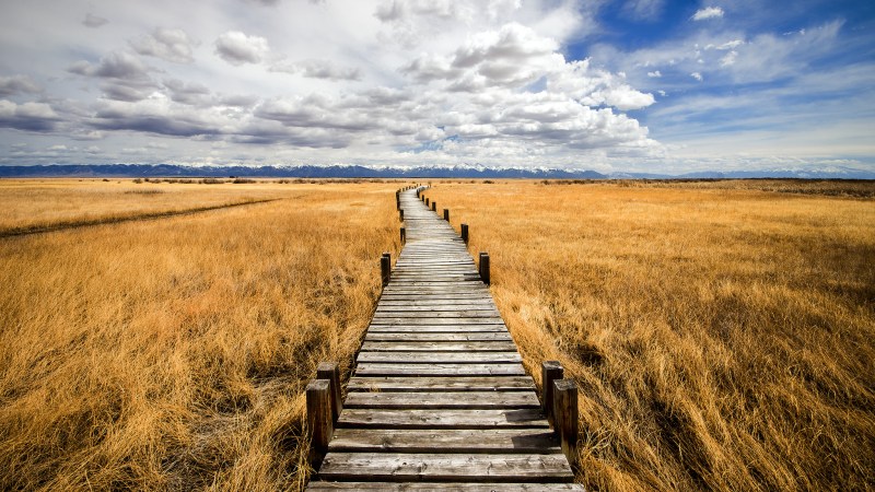 UN VIAJE CREATIVO PARA UNA VIDA&nbsp;MEJOR