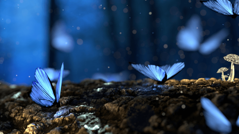 Dialogar con los&nbsp;sueños